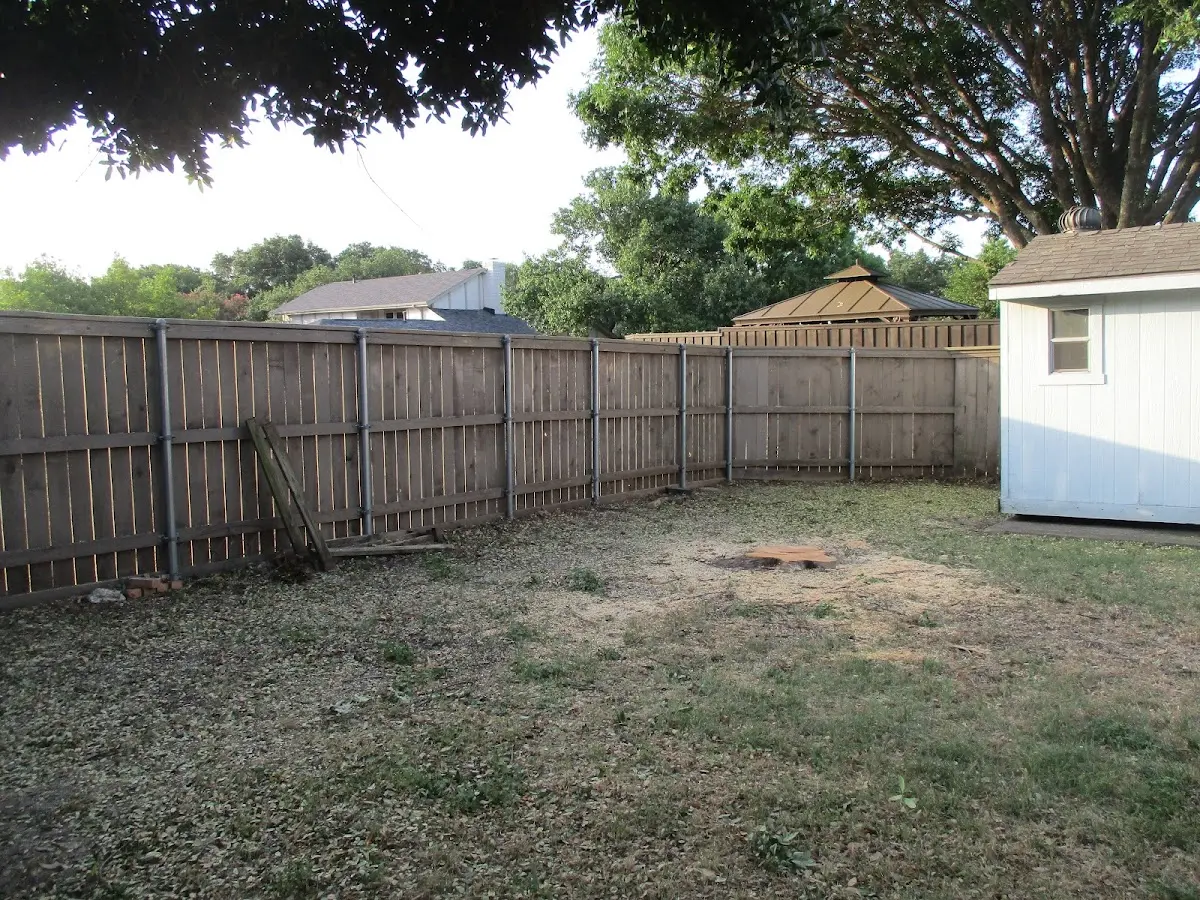 Cleared yard after professional tree removal in Masonville